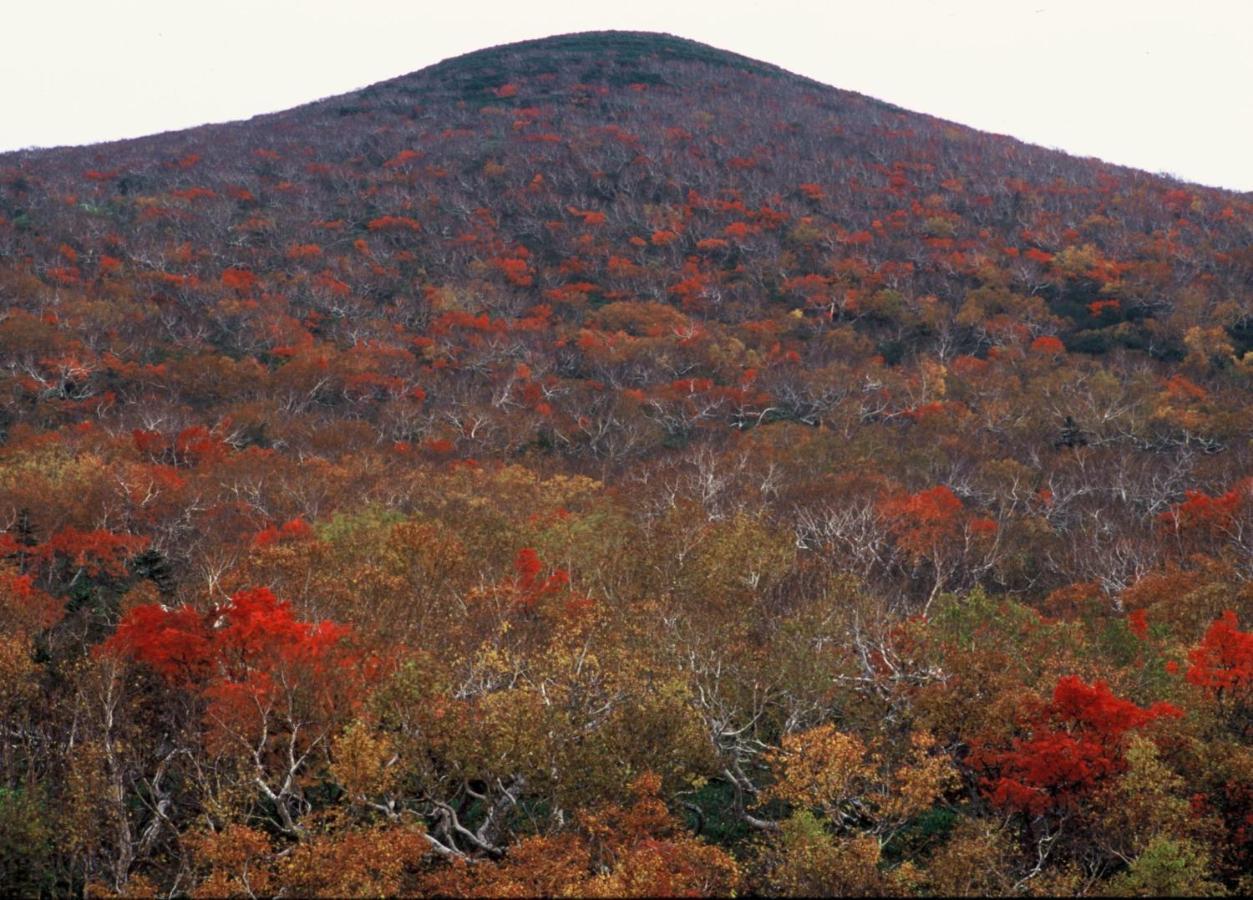 Ny Building 4Th Floor, Guest House Ichibangai, Roo / Vacation Stay 55905 คิตามิ ภายนอก รูปภาพ